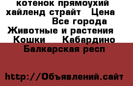 котенок прямоухий  хайленд страйт › Цена ­ 10 000 - Все города Животные и растения » Кошки   . Кабардино-Балкарская респ.